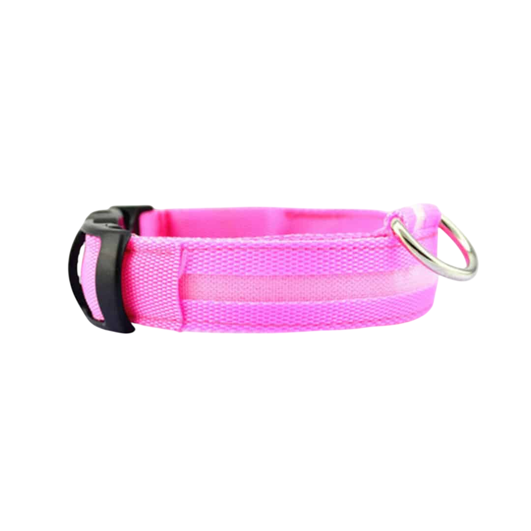 Dlakica LED ogrlica