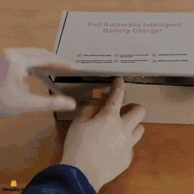 punjac za akumulator