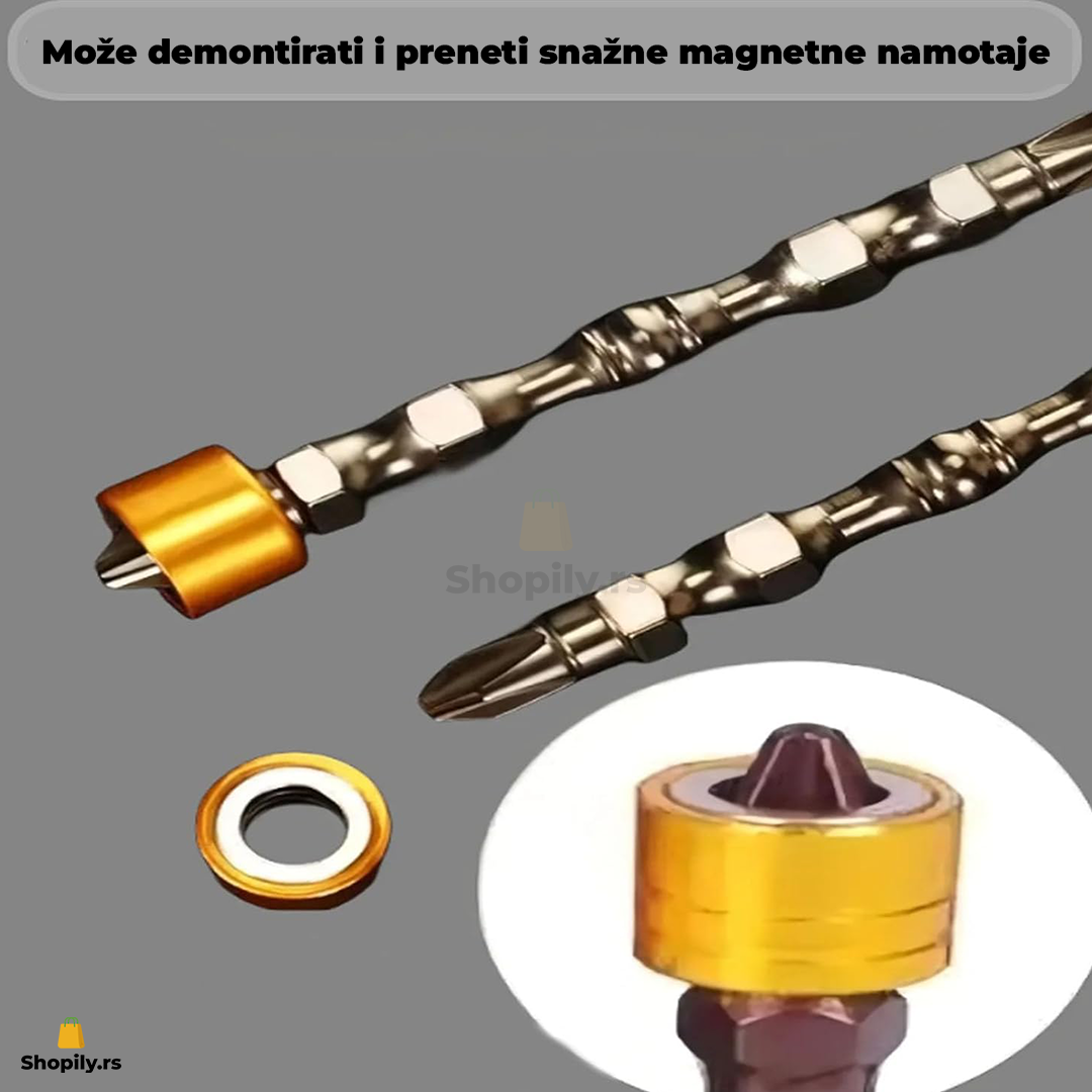 magnetni bitovi